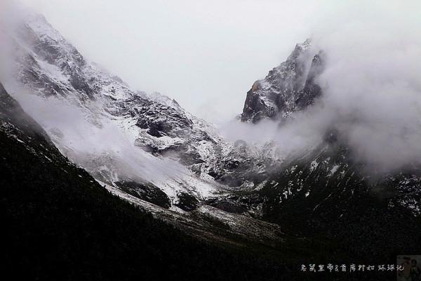 知了为什么老叫？游戏画面